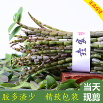 Fresh Dendrobium candidum fresh strips 500g3 years Yandang Mountain base direct sales nourishing Fengdou Huoshan provenance 1kg fresh strips