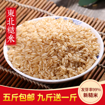2021 Northeast New Brown Rice 500g Coarse Grain Rice Low Fat Fitness Japonica Rice Germ 5 Jin