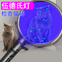 Woods lamp Cat moss pet fungus detection lamp 365nm Cat ringworm UV lamp Cat moss purple flashlight