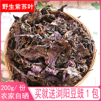 Wild perilla leaves natural cotyledons dried tea fried vegetables fish and shrimp soup hairy crabs cold edible Chinese medicinal materials