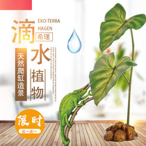 Xijin simulation grape leaf green plant flower vine plant reptile tank lizard landscape plant