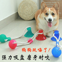 Dog molars gnawing toy rubber ball tug of war Teddy Golden pet interactive sucker alone to solve the boring artifact