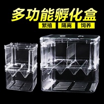 Guppies breeding box Fish Tank Isolation spawning hatching fry small fish fish isolator anchovies acrylic cub