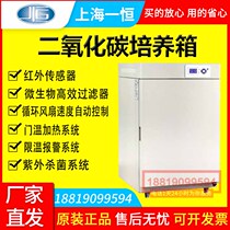 Shanghai one constant carbon dioxide incubator infrared sensor BPN-50CH(UV) popular CO2 Incubator