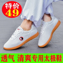 Ling Wu net cloth Taiji shoes female cow tendon canvas shoes summer breathable martial arts sports shoes Taijiquan practice kung fu shoes