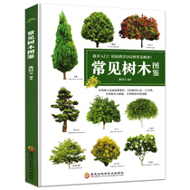 Common tree guide selection and identification Common tree guide books Garden plant seedling Daquan Introduction to common tree varieties Tree shrub willow plant guide Plant books Plant lovers work