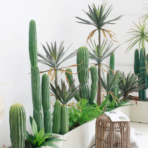 Simulation plant Moroccan cactus column landscaping combination hotel lobby cafe indoor green plant decoration ornaments