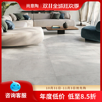 Gray Micro Cement Tile 600x1200 Living Room Anti-slip Floor Tiles Bathroom Bathroom Wall Tiles Matte Rustic Tiles
