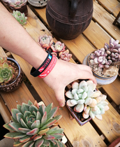 GearPro Diver DIVER sports decorative wrist black red couple male and female ring silicone bracelet accessories