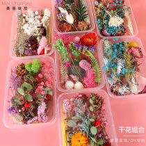 Eternal flower dried flower mixed flower diy material bag handmade fan photo frame floating flower diy candle embossing material bag
