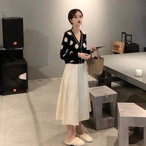 European station 2021 new autumn suit women careful machine Net red wave point sweater with skirt fashion two-piece set