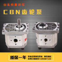 Gear pump high pressure small oil pump pulley seat hydraulic oil pump accessories oil pump motor cylinder hydraulic station 316
