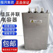  Finger month BSM0 4 0 45-15 20 25 30 40 50 60-3 1 Self-healing low voltage shunt capacitor