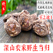 Wild angguitou special class Angelica tablets Chinese herbal medicine codonopsis yellow tea combination soup soil Angelica 250g