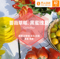ROSE STRAWBERRY FOUR-PERSON COSTA RICA BOULDER Manor ROSEA BLACK HONEY PROCESSED COFFEE BEANS 150G