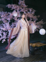 Chuan Dai: Magpie Bridge Xianling Original Design Lace Embroidery Wei Jin Style Hanfu Female Han Yuan Suit