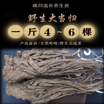 Minxian whole root Angelica 500g wild Super Angelica Chinese herbal medicine sweet party GUI bubble water Tea slices