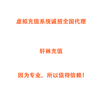 Xuanlin recharge (platform plus card) 100 yuan-24 hours automatic recharge-Do not shoot-beware of fraud