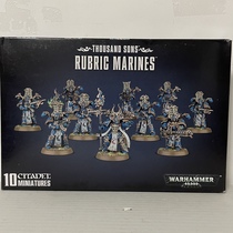 Warhammer 40K Interstellar Warrior Chaos Thousand Cang Son Squad Red Letter Rubric Marines