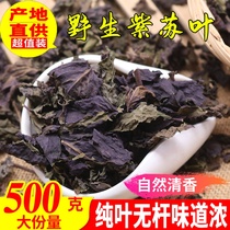 Perilla leaves freshly dried wild sulfur-free perilla dried perilla powder to remove fishy fish shrimp and crab spice Chinese herbal medicine 500g