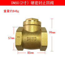 Brass Check Valve Horizontal Double Internal Wire Check Valve DN32DN40DN50DN65DN80DN100