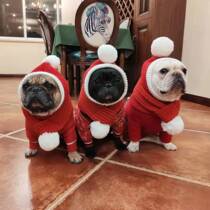 Dog winter cute hat Dadi Bears Golden Hair Big Dog Christmas Cat Funny Headgear Pet Hat