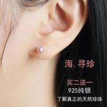 S925 sterling silver natural freshwater pearl earrings womens net red Korea simple small anti-allergic earrings temperament earrings