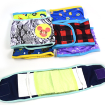 Public Dog Courtesy with pet pooch Costume Male dog Physiological Pants Physiology Shorts Head Full Cotton Breathable