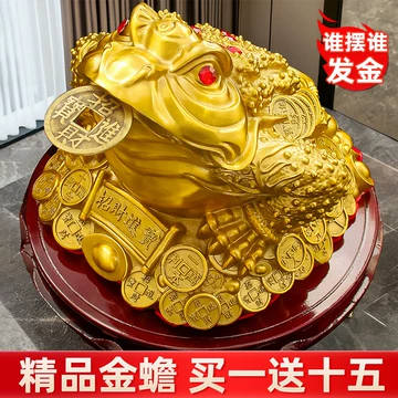 三角金蟾-三角金蟾促销价格、三角金蟾品牌- 淘宝