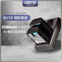 Panasonic camera battery BLF19E for gh5gh5sgh4gh3G9LGK Tisente digital camera battery