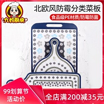 South Korea imported classification board anti-mold thickening non-slip Nordic wind cutting board baby food supplement plastic household chopping board