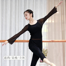 Classical dance suit Womens practice suit Elegant horn sleeve art Archaeology Classical dance National Chinese dance body rhyme dance yarn dress