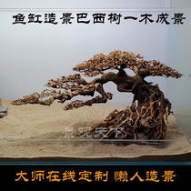 New Brazilian tree sunken wood welcome pine rhododendron root grass tank landscaping custom one wood into the fish tank design new product