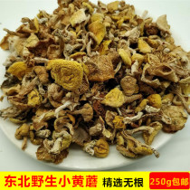 Northeast wild small yellow mushroom pine oil mushroom small yellow mushroom wild mushroom dried chicken stewed mushroom 250g
