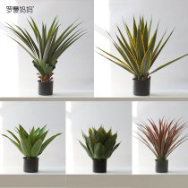 Nordic ins simulation green plant agave potted succulent plant landscaping phoenix tail orchid living room window floor decoration