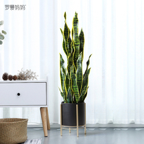 Nordic style simulation plant tiger piranha potted indoor living room office floor-to-ceiling bonsai decoration fake green plant ornaments