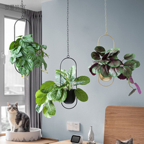 Creative green planting aerial ornaments simulation plants indoor hanging hanging hanging ornaments shopping mall stores soft home accessories
