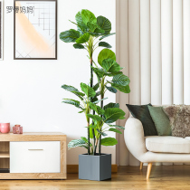 Roman mother indoor simulation plant green apple tree landing potted living room porch window decoration green plant ornaments