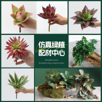 Simulation green plant small space plant landscaping accessories diy flower arrangement material hanging decoration indoor wall flower tank bonsai