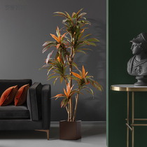 Roman mother simulation plant red-edged iron fake green plant potted light luxury large living room indoor floor decoration decoration