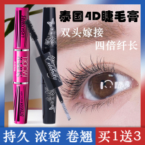 Thai Mistine double head mascara 4d fiber grafting lasting long dense and waterproof roll teething without fainting