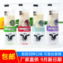 Park Jin stick milk shell new calcium supplement milk chips cheese sticks dry eating pieces cartoon children baby snacks scattered independent