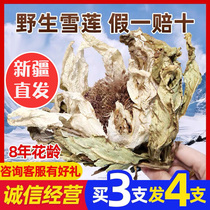 Buy 3 get 1 Xinjiang wild Tianshan snow lotus flower pure natural snow lotus traditional Chinese medicine bubble wine