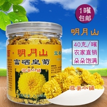 Xinju Mingyue Mountain Selenium-rich Huangju Jiangxi Yichun specialty chrysanthemum herbal tea produced in Wentang Town 40 grams canned