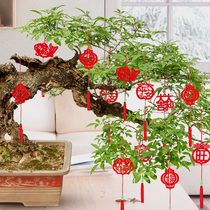 Small lantern ornaments tree bonsai small celebratory small pendant Chinese blessing character transfer bamboo wedding