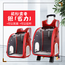 Pet Pull Lever Box Out Portable Panorama Transparent Cat Bag Porous Breathable Hand Double Shoulder Backpack Pooch Bag Supplies