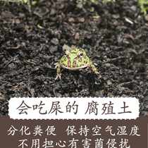 Primeval forest surface climbing pet tortoise mat material Bacteria-free insect-free humus Horned frog Palace natural mat degradation soil