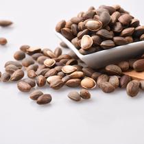 Sichuan Liangshan opening pine nuts 2021 fresh Yunnan wild pregnant women nuts scattered bags original hand peeled pine seeds