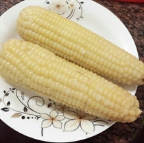 Zhangjiakou corn cob organic fresh food sticky waxy children corn corn bract soft nutrition breakfast recommended soft waxy sweet sweet