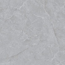 Dongpeng tile CFG802555 glazed tile 800*800